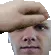 aWisePet