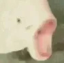 pogfish2