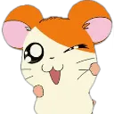 hamwink