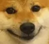 compliantsmiley compliantsmiley