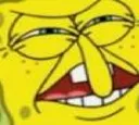 spongewtfff