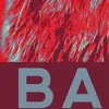 BAERforemoticon_0_1