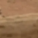 BAERUWOT_2 BAERUWOT_2