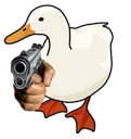 angryduck