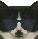 VelShades VelShades