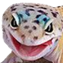 GECKW Discord emoji