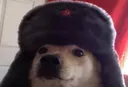 commiedog