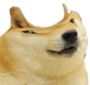 bonk