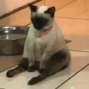 head_empty