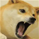 Angrydoge AngryDoge Discord Emoji