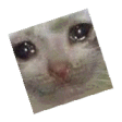 cat_crycatspin Discord Emoji