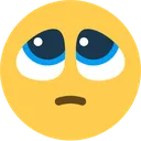plead