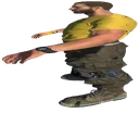 widecrane