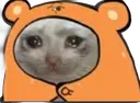 sadcat