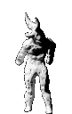 poolman poolman