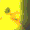 730772717338624051.gif