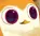 puggi