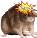 ratbonk