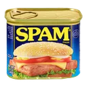 Spam