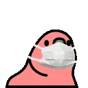 doctorparrot