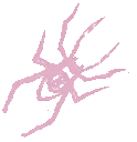 MG_lilspooder