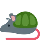rat_turtle rat_turtle