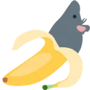 rat_banana