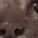 wetcat_3_3