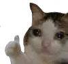 sadthumb