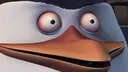 Bird Bird