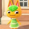 nyan