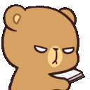 bearmadread