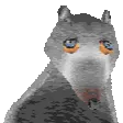 rareRat