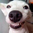 cheeeseee