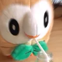 rowletsip