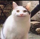 heh