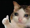 sadcat