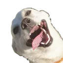 haeb