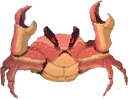 crab