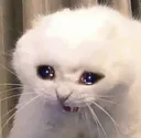 SAD