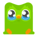 DuolingoCry