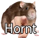 RatHornt