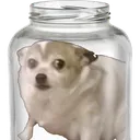 chiwaJar chiwaJar