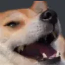 dog_kek