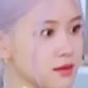 rosestare2