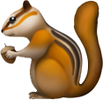 squirrel Discord emoji