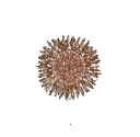 fireworks fireworks
