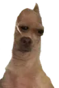 sadoggo Discord Emoji