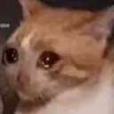 umakemesad umakemesad
