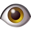 eye